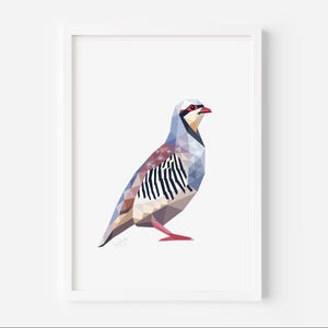 Stampa artistica di uccelli Chukar - Decorazione murale geometrica minimalista della fauna selvatica - Illustrazione moderna della natura - Regalo per gli amanti degli uccelli - Poster di pernice di montagna