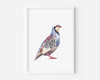 Chukar Bird Art Print - Minimalist Geometric Wildlife Wall Decor - Modern Nature Illustration - Bird Lover Gift - Mountain Partridge Poster