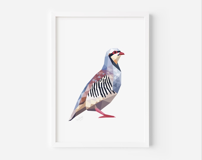Chukar Bird Art Print - Minimalist Geometric Wildlife Wall Decor - Modern Nature Illustration - Bird Lover Gift - Mountain Partridge Poster