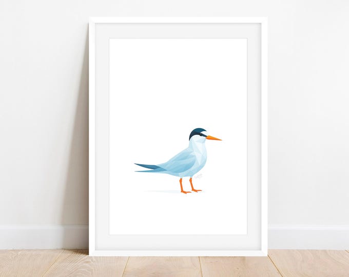 Fairy Tern Geometric Art Print - NZ Native Bird Wall Decor, Tara-iti Illustration, Coastal Seabird Home Accent, Minimalist Tern Design Gift