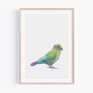 Stampa artistica geometrica originale Kea - Arte murale minimalista della fauna selvatica della Nuova Zelanda - Illustrazione di uccelli colorati - Arredamento moderno per la casa - Regalo unico