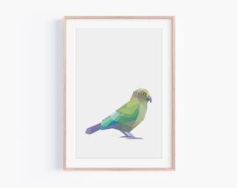 Geometric Kea Art Print: Minimalist New Zealand Bird Illustration