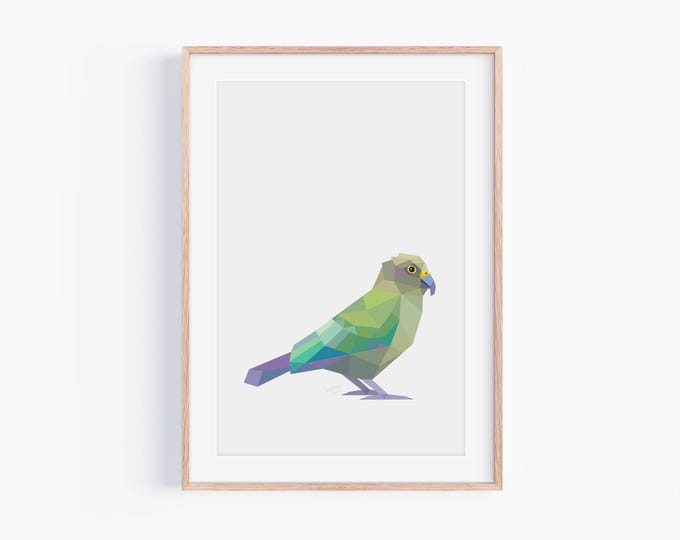 Original Kea Geometric Art Print - Minimalist New Zealand Wildlife Wall Art - Colorful Bird Illustration - Modern Home Décor - Unique Gift