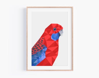 Eastern Rosella Art Print: Geometric Parrot, Australian Bird Poster