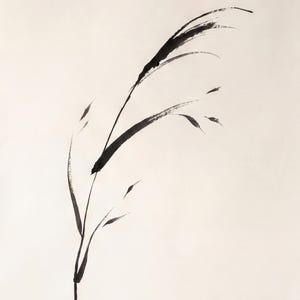 Japanese Sumi-e botanical print set featuring Bamboo, Cherry Blossom, and Bent Reed arranged as a minimalist Zen triptych.