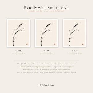 May include: Three digital art prints featuring a black ink drawing of a bent reed on a cream background. The text reads Exactly what you receive, 8x10, 11x14, 16x20, and Calm & Oak. Includes three JPG files at 300 DPI in 20x25 cm, 27x35 cm, and 40x50 cm.
