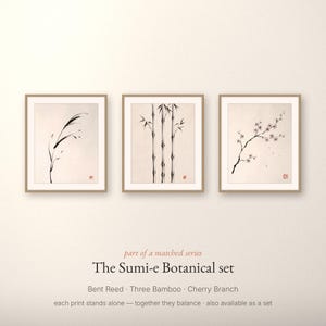 Minimalist Sumi-e Bent Reed print featuring Japanese ink brushwork of a graceful reed bending softly on warm white paper.