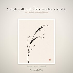 May include: A digital print featuring a black ink sumi-e style drawing of a single bent reed stalk on a cream background. The text reads: A single stalk, and all the weather around it. sumi-e bent reed - instant digital download. three sizes 300 DPI print-ready. Calm & Oak.