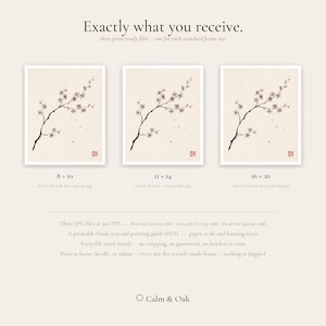 Cherry Branch sakura branch in ink print styled in a calm Japandi room — soft pink and cream. Calm & Oak.
