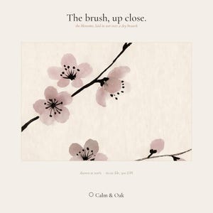 Cherry Branch sakura branch in ink print styled in a calm Japandi room — soft pink and cream. Calm & Oak.