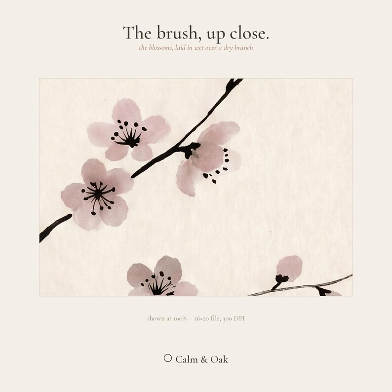 Cherry Branch sakura branch in ink print styled in a calm Japandi room — soft pink and cream. Calm & Oak.