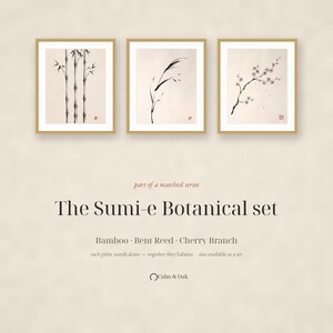 Pode incluir: Um conjunto de tr&ecirc;s impress&otilde;es emolduradas com ilustra&ccedil;&otilde;es bot&acirc;nicas em tinta preta de bambu, junco dobrado e um ramo de cerejeira. O texto diz: part of a matched series, The Sumi-e Botanical set, Bamboo, Bent Reed, Cherry Branch, Calm & Oak.