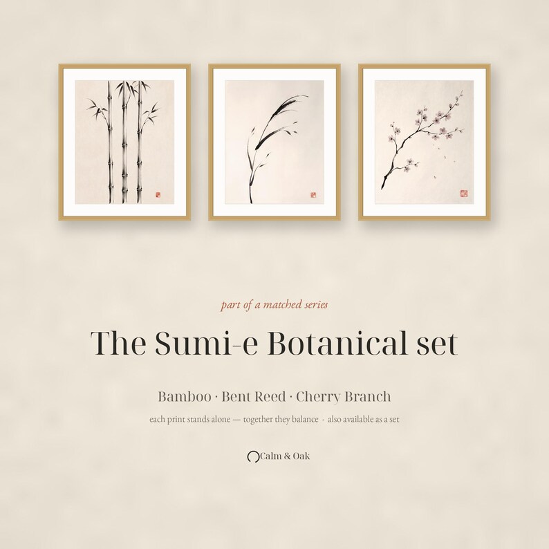 Pode incluir: Um conjunto de tr&ecirc;s impress&otilde;es emolduradas com ilustra&ccedil;&otilde;es bot&acirc;nicas em tinta preta de bambu, junco dobrado e um ramo de cerejeira. O texto diz: part of a matched series, The Sumi-e Botanical set, Bamboo, Bent Reed, Cherry Branch, Calm & Oak.