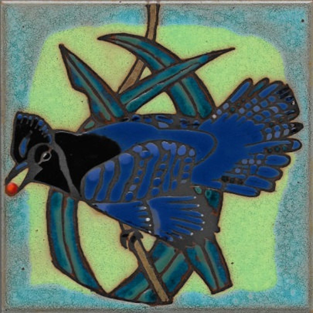 Stellar Jay Ceramic Tile Hot Plate Wall Decor Install Hand Etsy