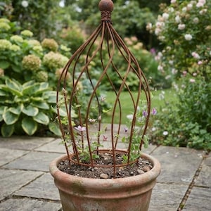 May include: A rust-colored metal plant cloche with a spherical finial at the top, positioned inside a terracotta pot containing soil and a small climbing plant with light purple flowers and green leaves, set against a garden background.