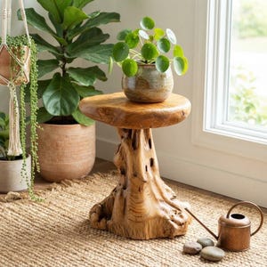May include: A natural wood side table with a thick, organic-shaped top and a sturdy, textured root-like base. A speckled ceramic pot containing a Pilea peperomioides plant sits on the table. A small copper watering can rests on the floor nearby.