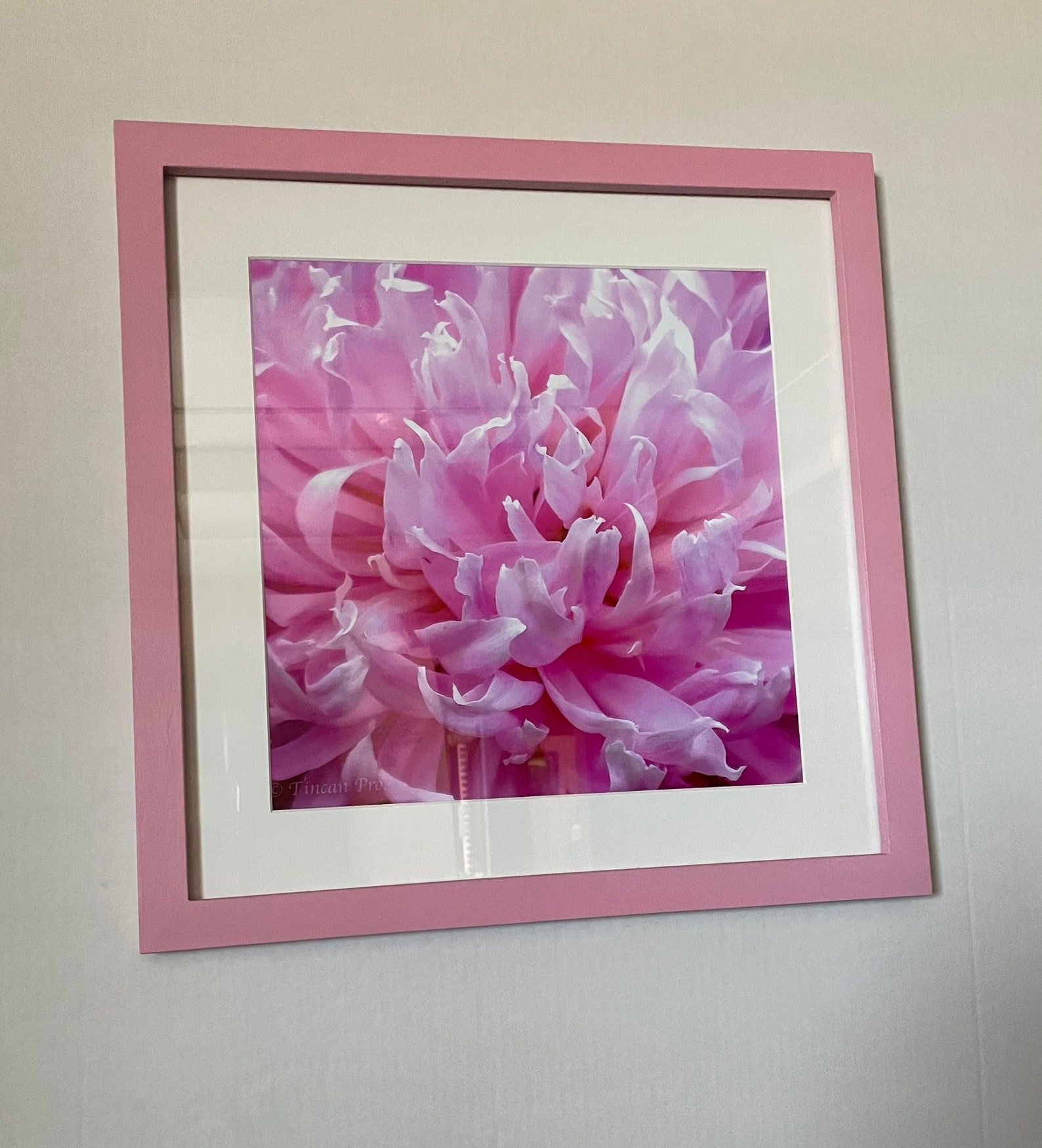Floral Photographs Framed and Matted Etsy Australia