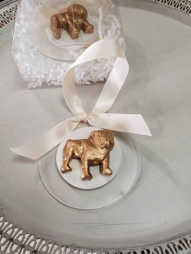 Bulldog Intaglio Studs main image 0