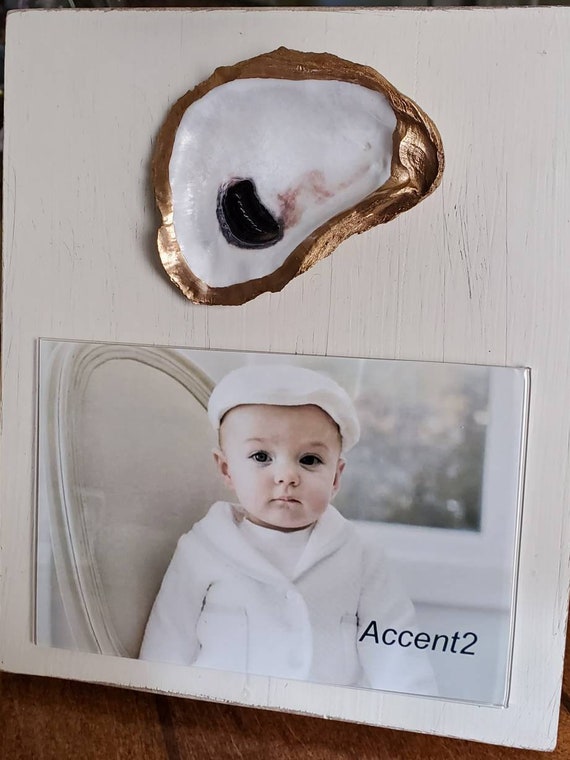 Oyster on Handmade Wood Frame - Painted and Distressed Old White - Coastal - Gift - Beach.