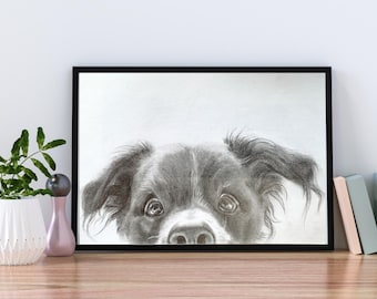 Retrato de mascota con cámara oculta a lápiz / Boceto realista de perro a partir de una foto / Obra de arte animal