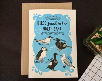 Birds of the North East