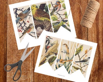 Vintage banner met vogelprint: natuurslingerdecoratie (pdf-download)