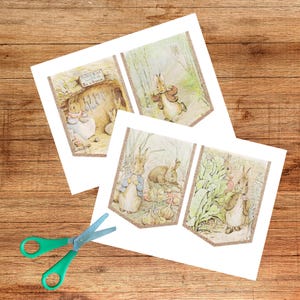 May include: Three illustrated paper banners featuring Peter Rabbit scenes, with a gold glitter border. The banners depict rabbits in various settings, including a garden and a burrow. A pair of green-handled scissors is in the foreground.