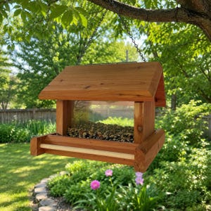 May include: A cedar wood bird feeder with a slanted roof, a clear acrylic front panel, and a light-colored wooden perch. The feeder is filled with a mix of bird seeds and is suspended by a metal chain from a tree branch in an outdoor setting.