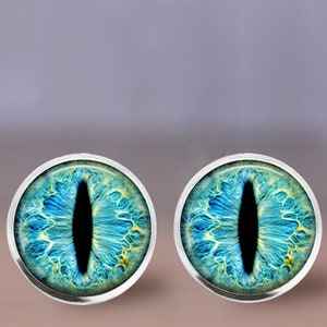 May include: A pair of silver stud earrings with blue and yellow cat eye designs.