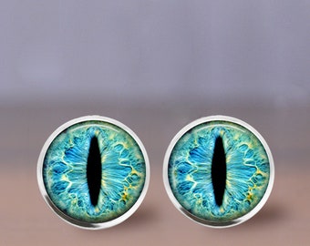 Dragon Eye, Cat eye, Dinosaur Eye Earrings Post or Leverback (Teal)