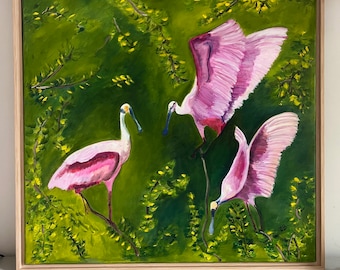Spoonbills in the Wild