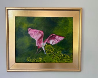 Carolina Spoonbill 1