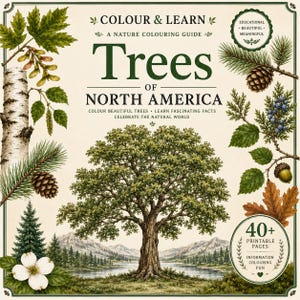 May include: A square book cover titled COLOUR & LEARN A NATURE COLOURING GUIDE Trees OF NORTH AMERICA. The cover features a large central tree, a landscape with mountains and a lake, and various botanical illustrations including leaves and pinecones.