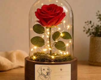 Custom Pet Memorial Rose Dome LED Photo Lamp, Personalized Dog Cat Loss Gift