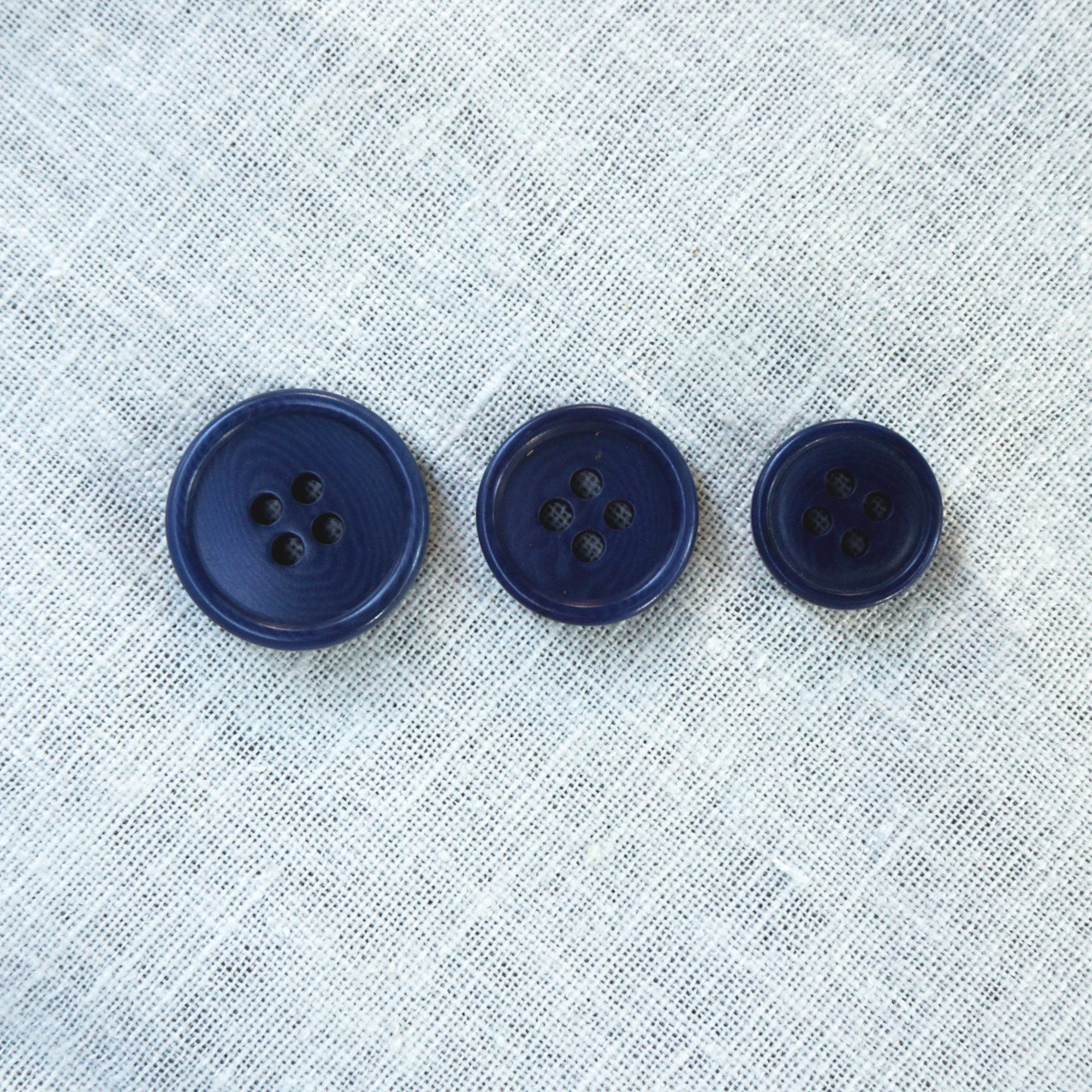 6 DARK NAVY VEGETABLE IVORY BUTTON ON CARD 1 1/8" QUANTITY DISCOUNT 