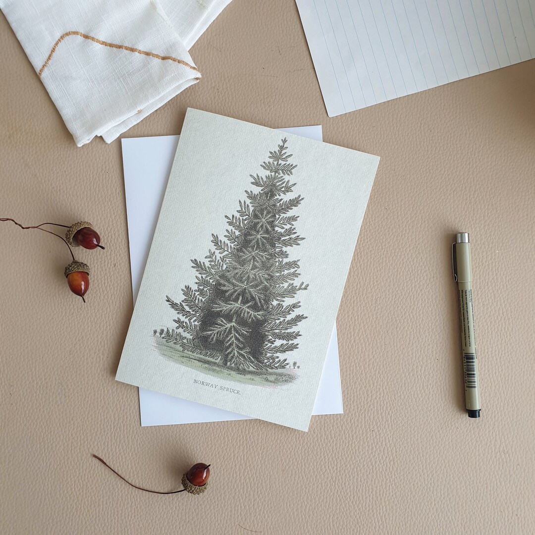 Buy Norway Spruce Blank Card, Pine Tree, Greetings Card, Blank Card ...