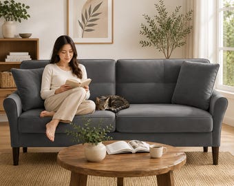 Velvet Loveseat Sofa, Small Space Couch with Pillows for Living Room