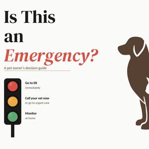 May include: An informational graphic titled Is This an Emergency? A pet owner's decision guide. It features a brown dog silhouette with a white cat silhouette inside, and a traffic light icon with text instructions for emergency, urgent, and home care.
