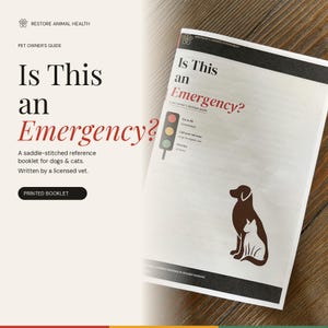 May include: A white saddle-stitched booklet titled Is This an Emergency? A pet owner's decision guide. The cover features a traffic light graphic, text instructions, and a brown silhouette illustration of a dog and a cat sitting together.