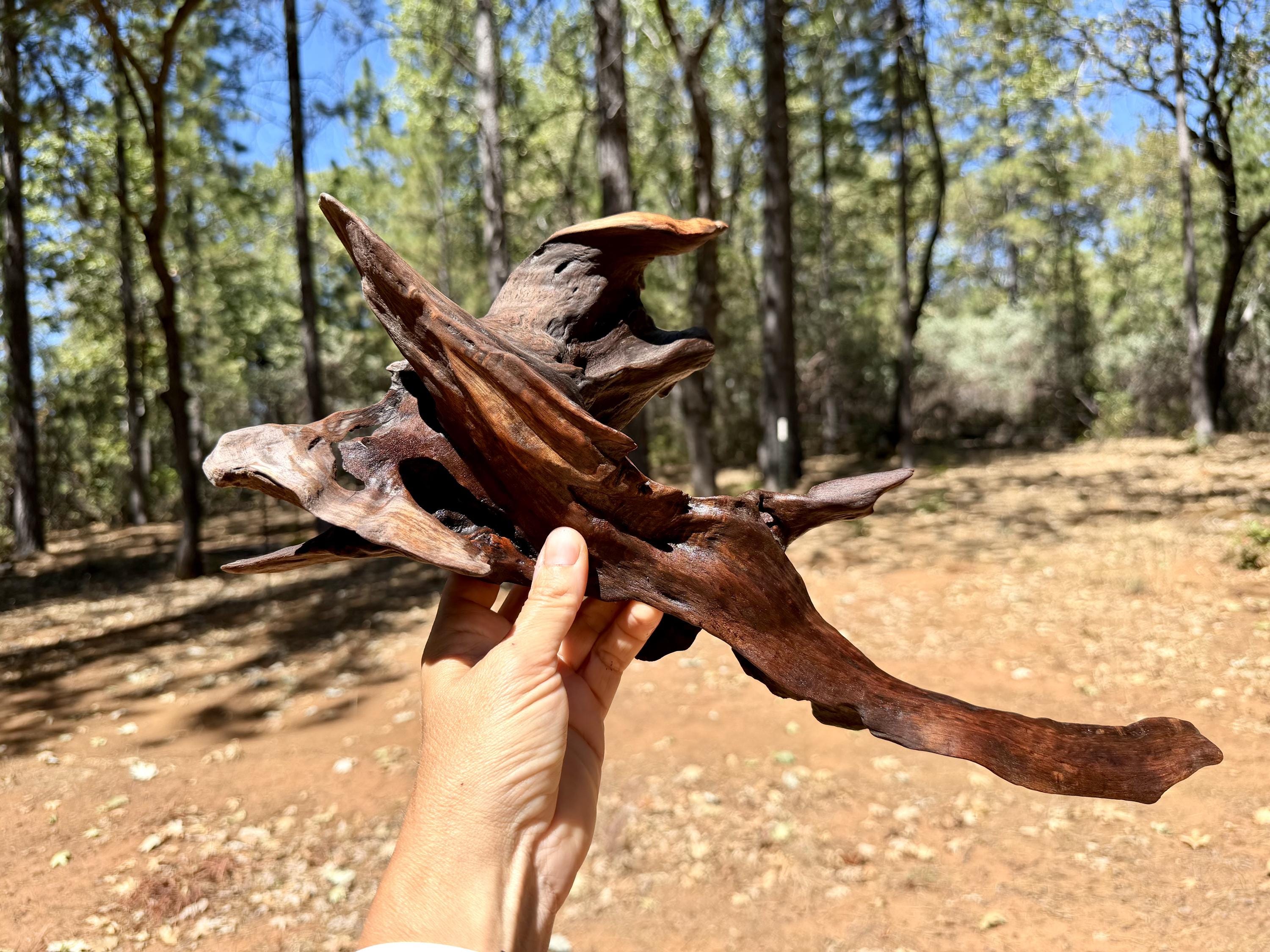 River Driftwood - Etsy