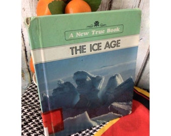 1990 L'era glaciale Libro vintage con copertina rigida per bambini