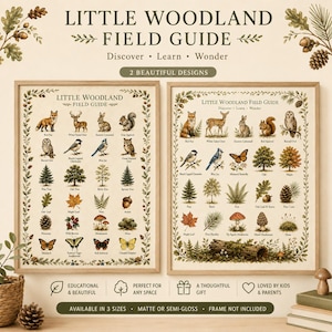 May include: Two framed posters titled Little Woodland Field Guide, featuring illustrations of forest animals, birds, trees, leaves, and mushrooms. Each poster is bordered by a botanical vine design on a cream background with text labels.