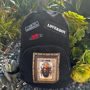 Mochila para cucarachas imagen 3