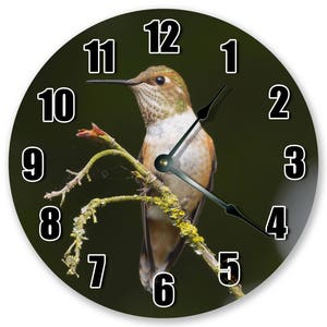 10.5" RUFOUS HUMMINGBIRD Clock - Large 10.5" Wall Clock - Bird Clock - Round Wall Clock - Home Decor - Birthday Gift - 3128