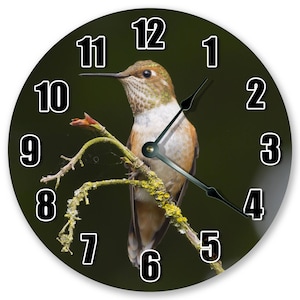 Horloge Colibri roux : décoration murale silencieuse de 10,5 po.