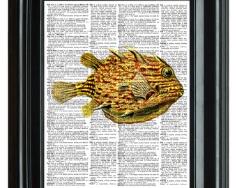 Blow Fish Vintage Print, VINTAGE DICTIONARY PRINT, dictionary page, Upcycled dictionary art print,  8.25x11.25 num. 47