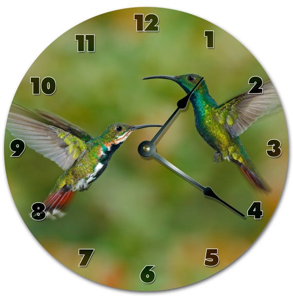 10.5 HUMMING BIRDS Clock Living Room Clock Large Etsy