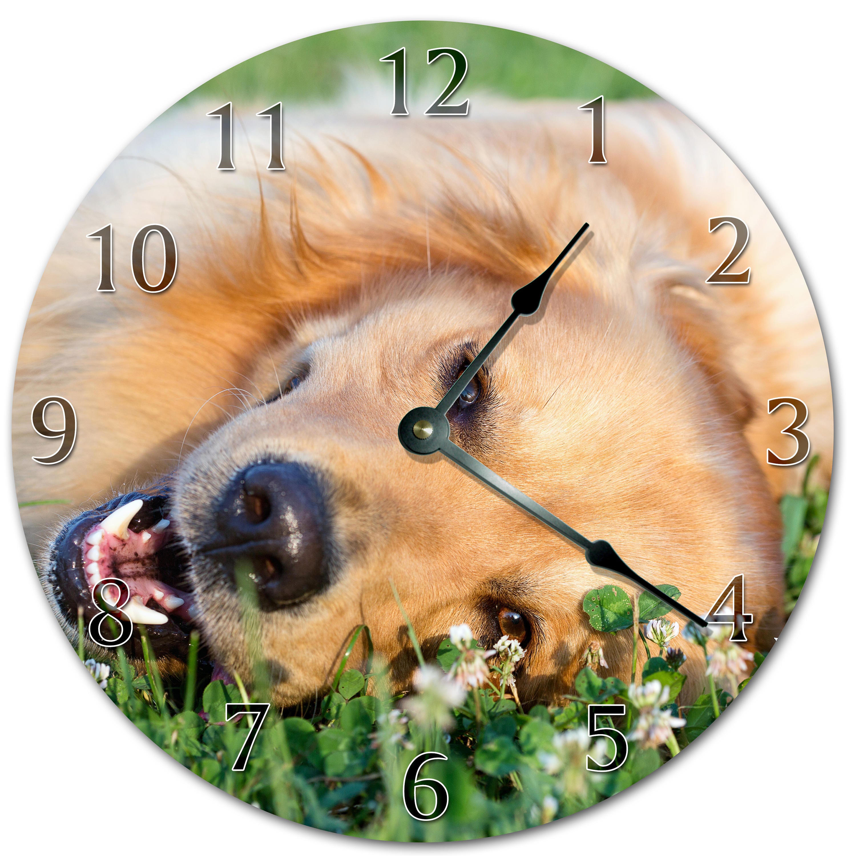 10.5 GOLDEN RETRIEVER DOG Clock Living Room Clock Etsy