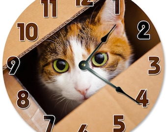 CAT IN BOX Clock - Large 10.5" Wall Clock - 2094