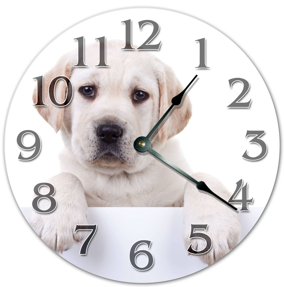 10.5 YELLOW LABRADOR PUPPY Clock Dog Clock Labrador - Etsy